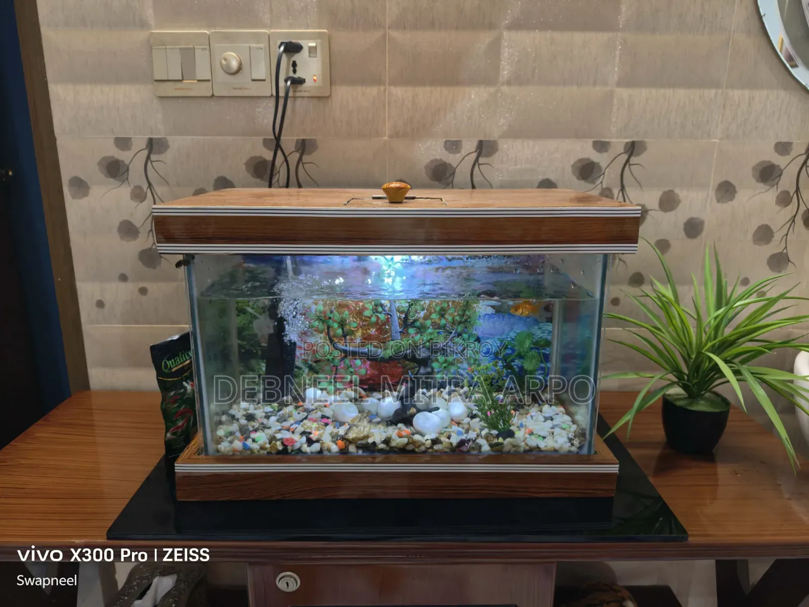 New Aqurium With Fresh Fish