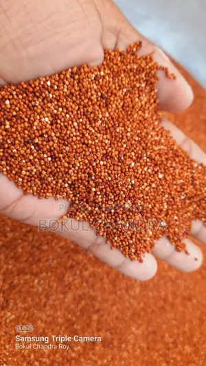 Ragi Millet