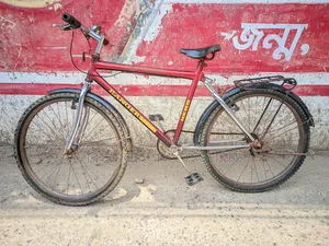 Bicycle for sale