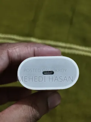 Original iPhone Charger
