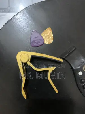 Acoustic Guitar