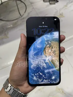 অ্যাপল আইফোন ১২ প্রো ম্যাক্স ২৫৬ জিবি ব্লু