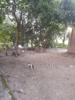 ২ বেডরুমের ফার্ম হাউস বসত বাড়ি, মাওয়া হাইওয়েতে বিক্রির জন্য