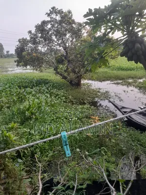 ২ বেডরুম ফার্ম হাউস বসত বারি, মাওয়া হাইওয়েতে বিক্রয়ের জন্য