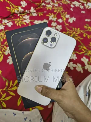 Apple iPhone 12 Pro Max 256 GB Rose Gold