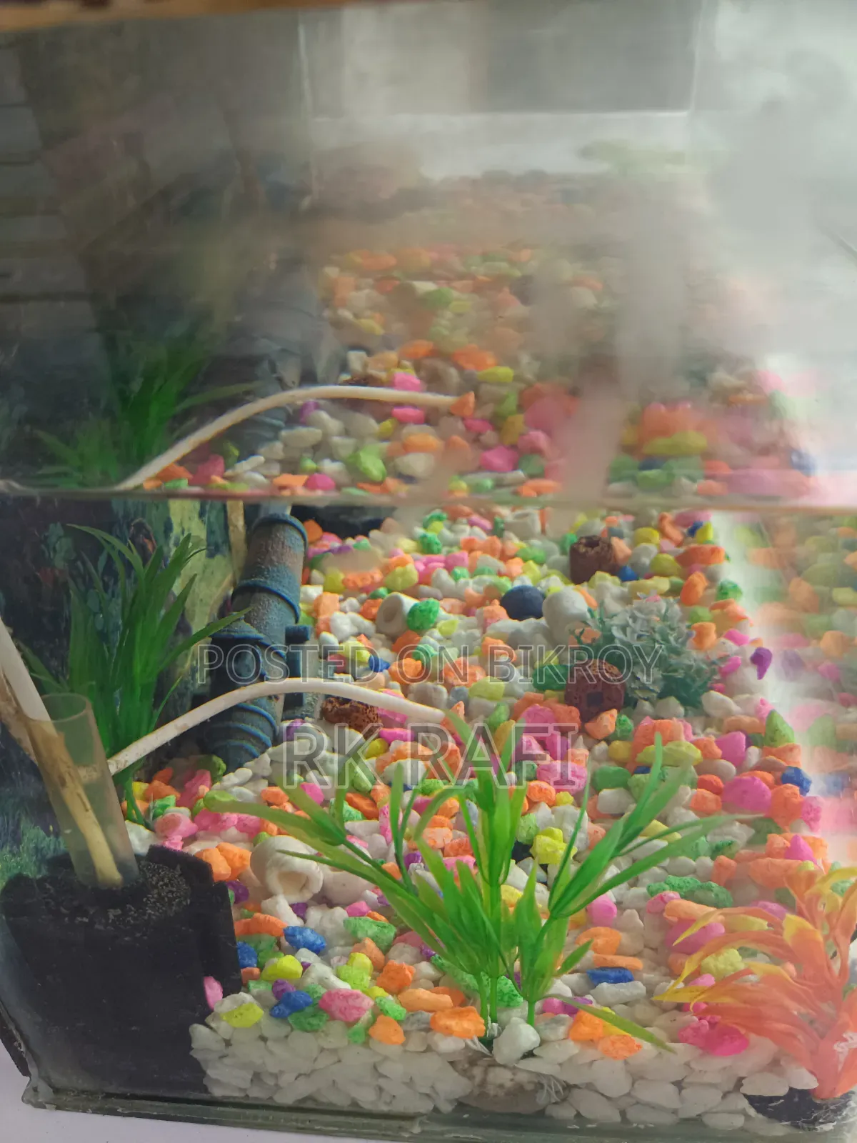 ছোট অ্যাকোয়ারিয়াম