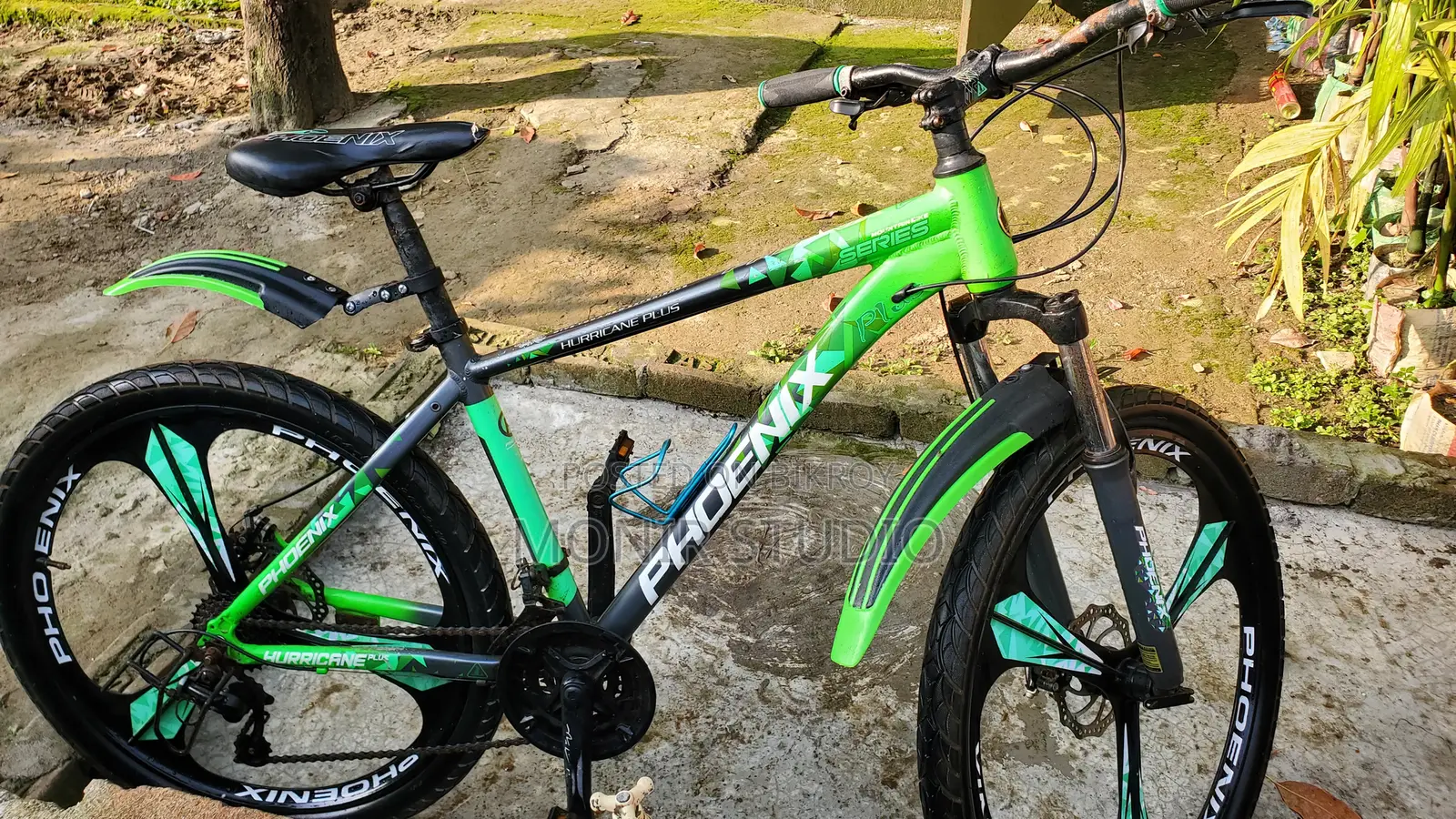 Phonix Bicycle (Looks New Condition but Used)