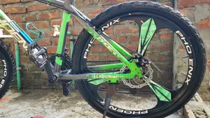 Phonix Bicycle (Looks New Condition but Used)