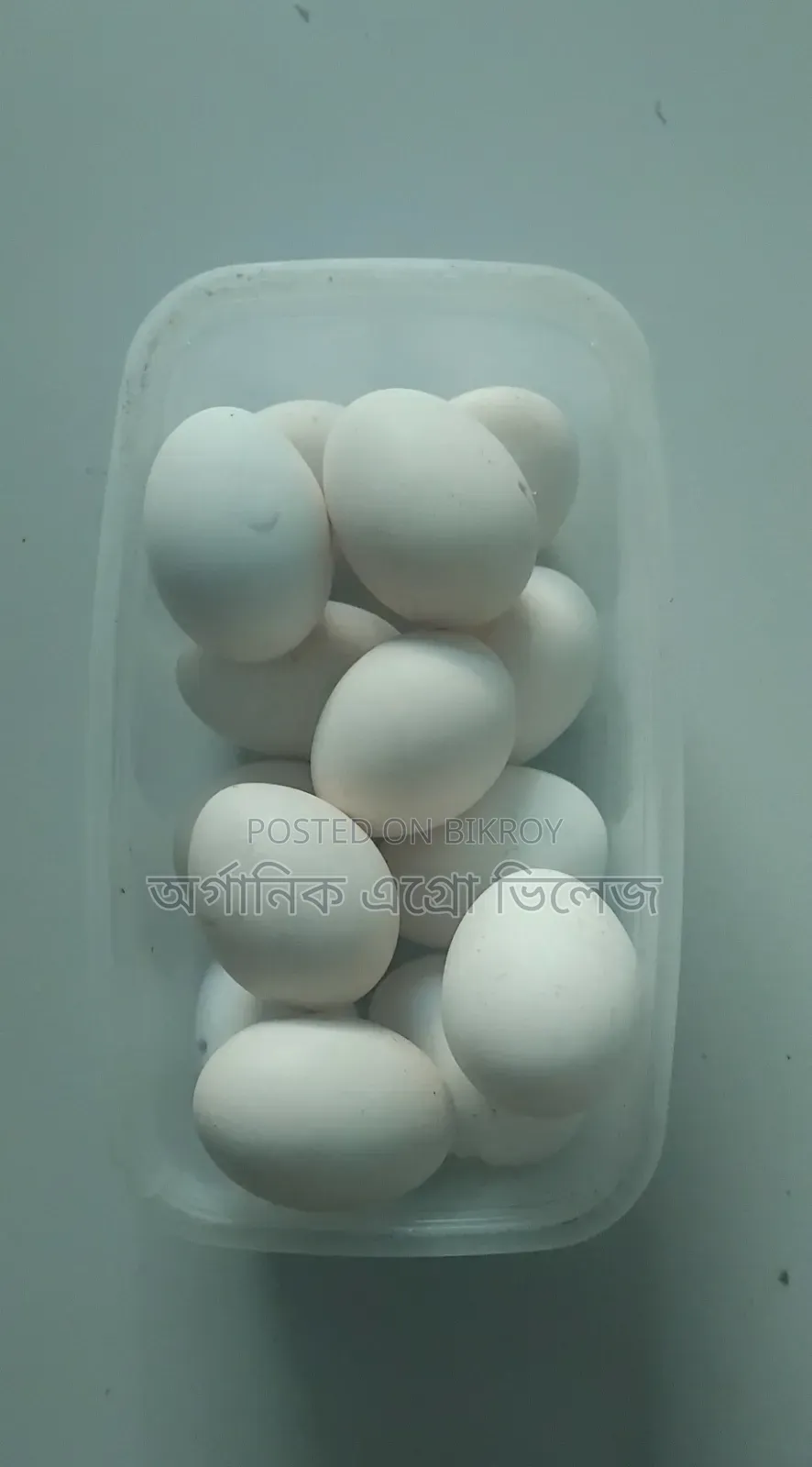 দেশী মুরগির ডিম