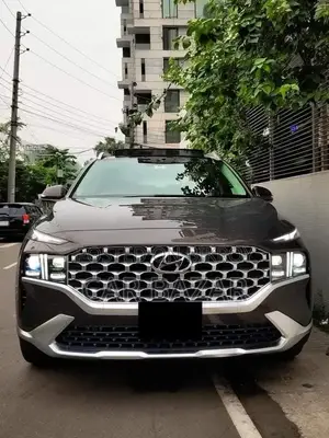হুন্দাই সান্তা ফে ২০২২ গ্রে