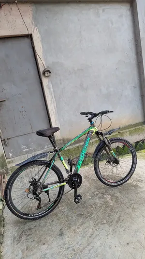 অ্যালুমিনিয়াম বডি গিয়ার ব্রেক সাসপেনশন অল ওকে