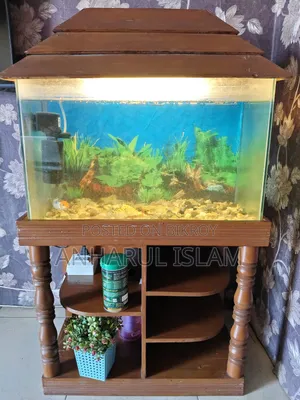 Aquarium Fish Tank