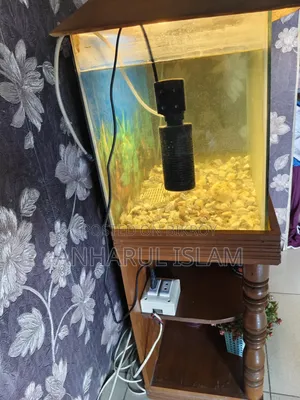 Aquarium Fish Tank