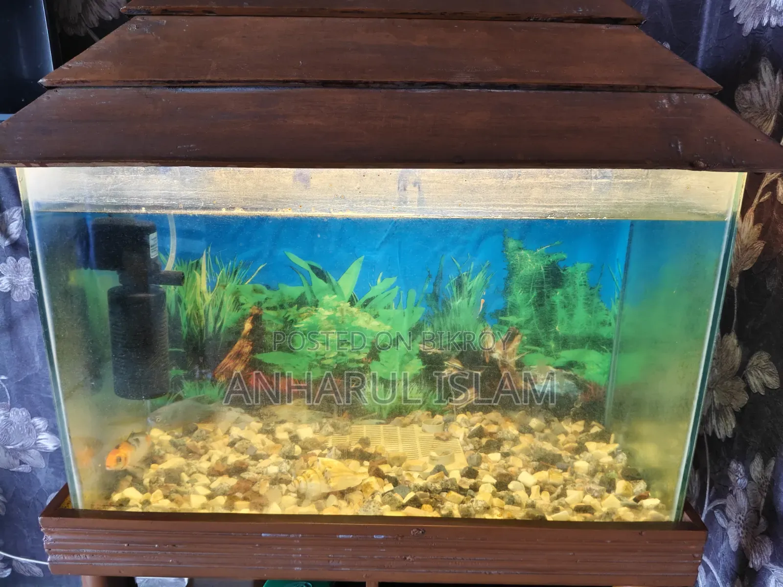 Aquarium Fish Tank