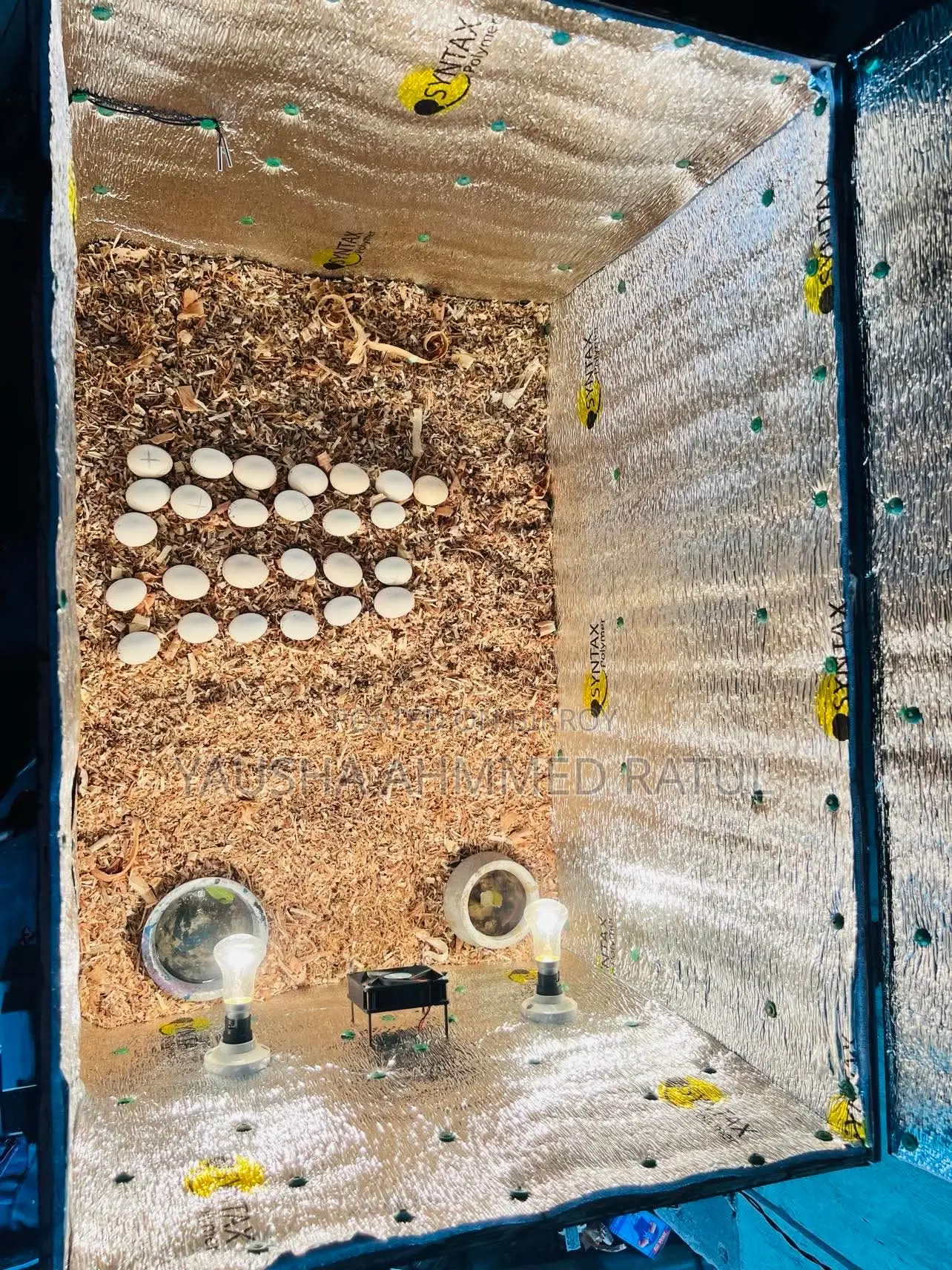 Incubator Egg Hatching Machine