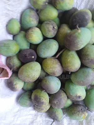 Fresh, Formalin-free Bombay Variety Mangoes