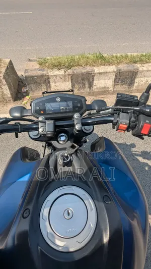 Yamaha FZ 2022 Blue