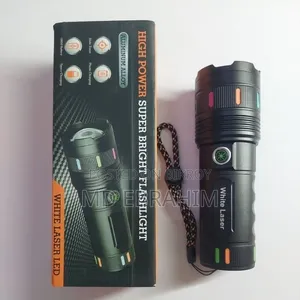 Sanford Torch Light