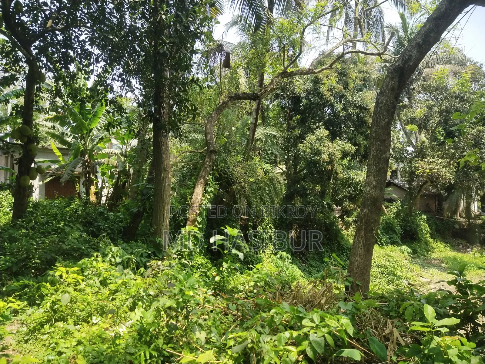 Land for Sale