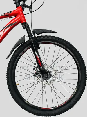 Veloce Junior 24 Back 7 Gear