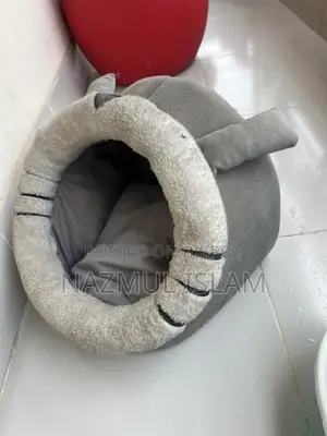 বিড়ালের খাবার, লিটার ও অন্যান্য জিনিসপত্র