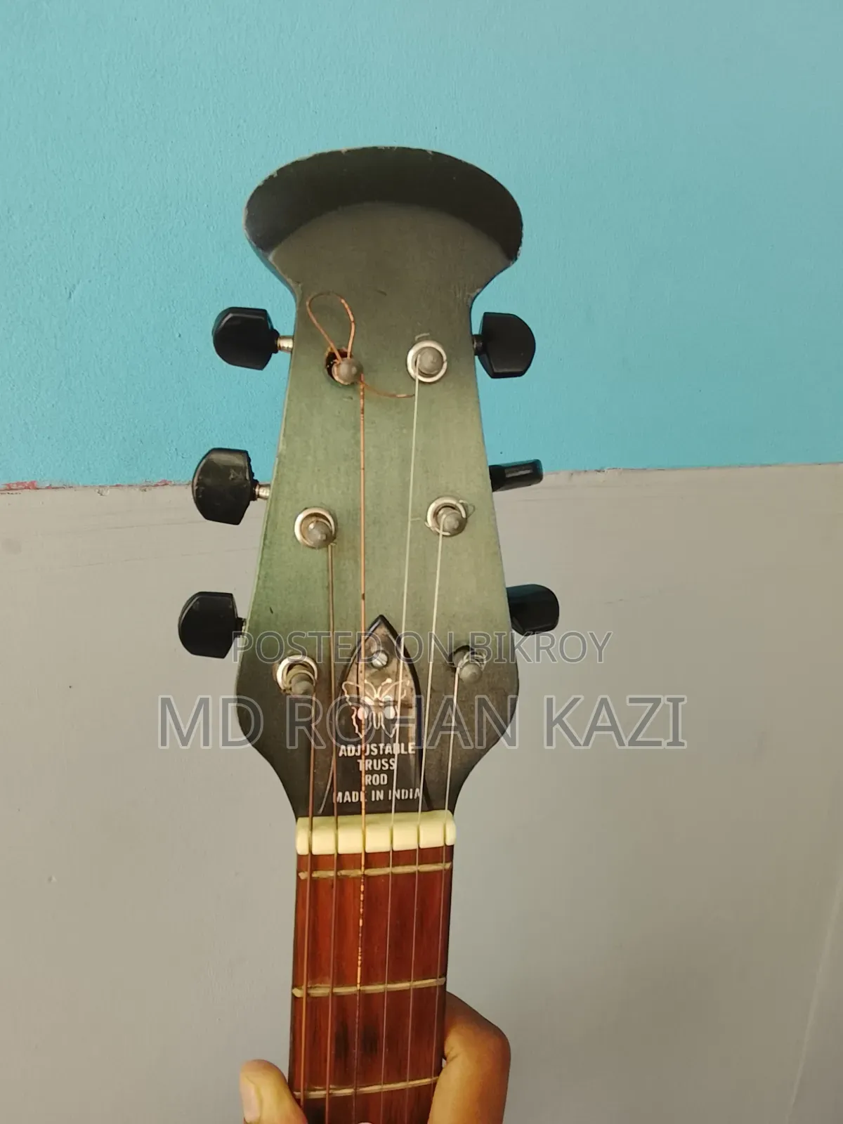 Acoustic Guitar