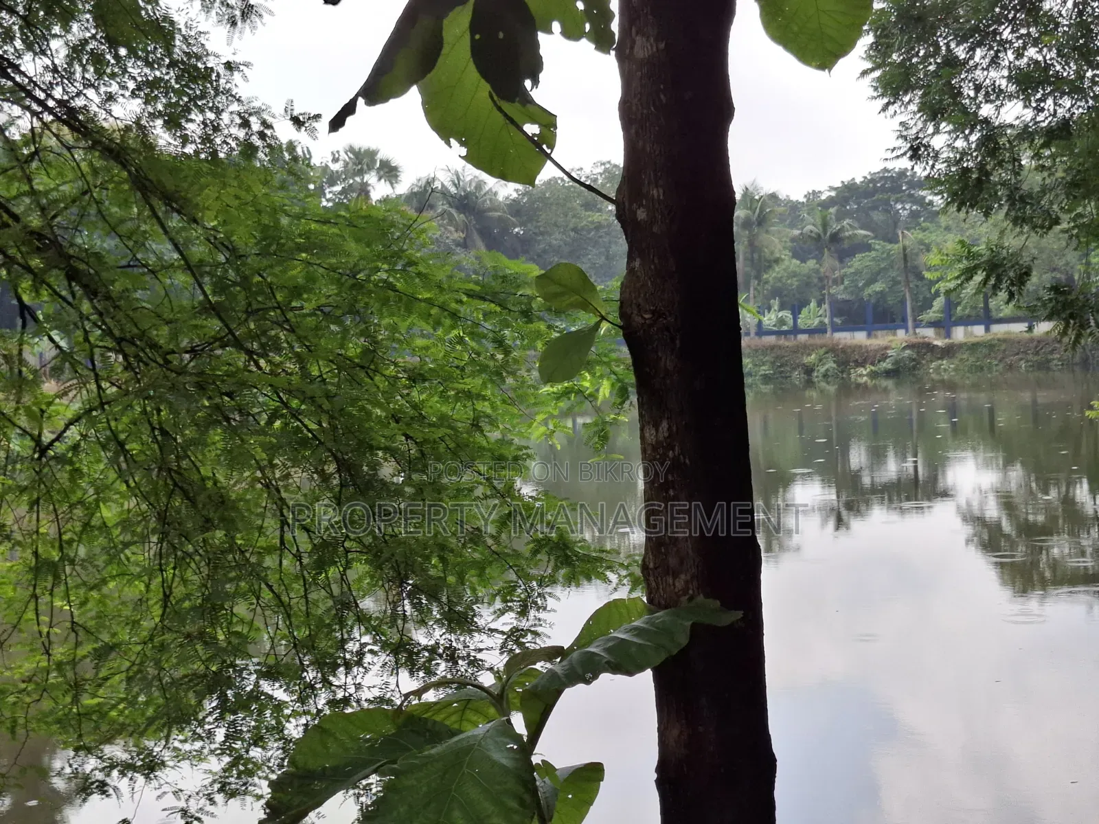 Fully Lake View 8.5 Katha Land Sell Gulshan 2