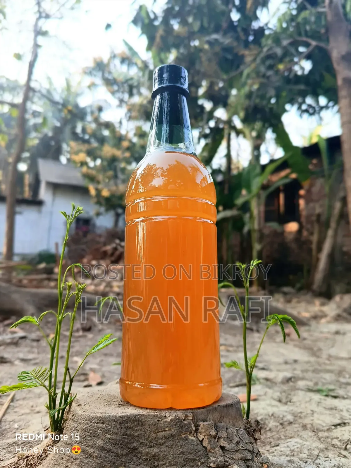 সুন্দরবনের খাঁটি মধু!