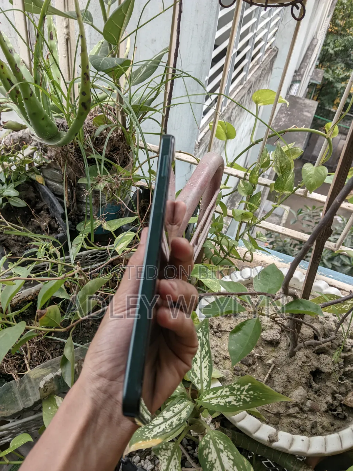 Vivo Y04 64 GB Green