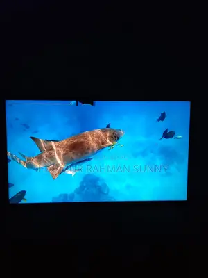 Samsung Android 49"