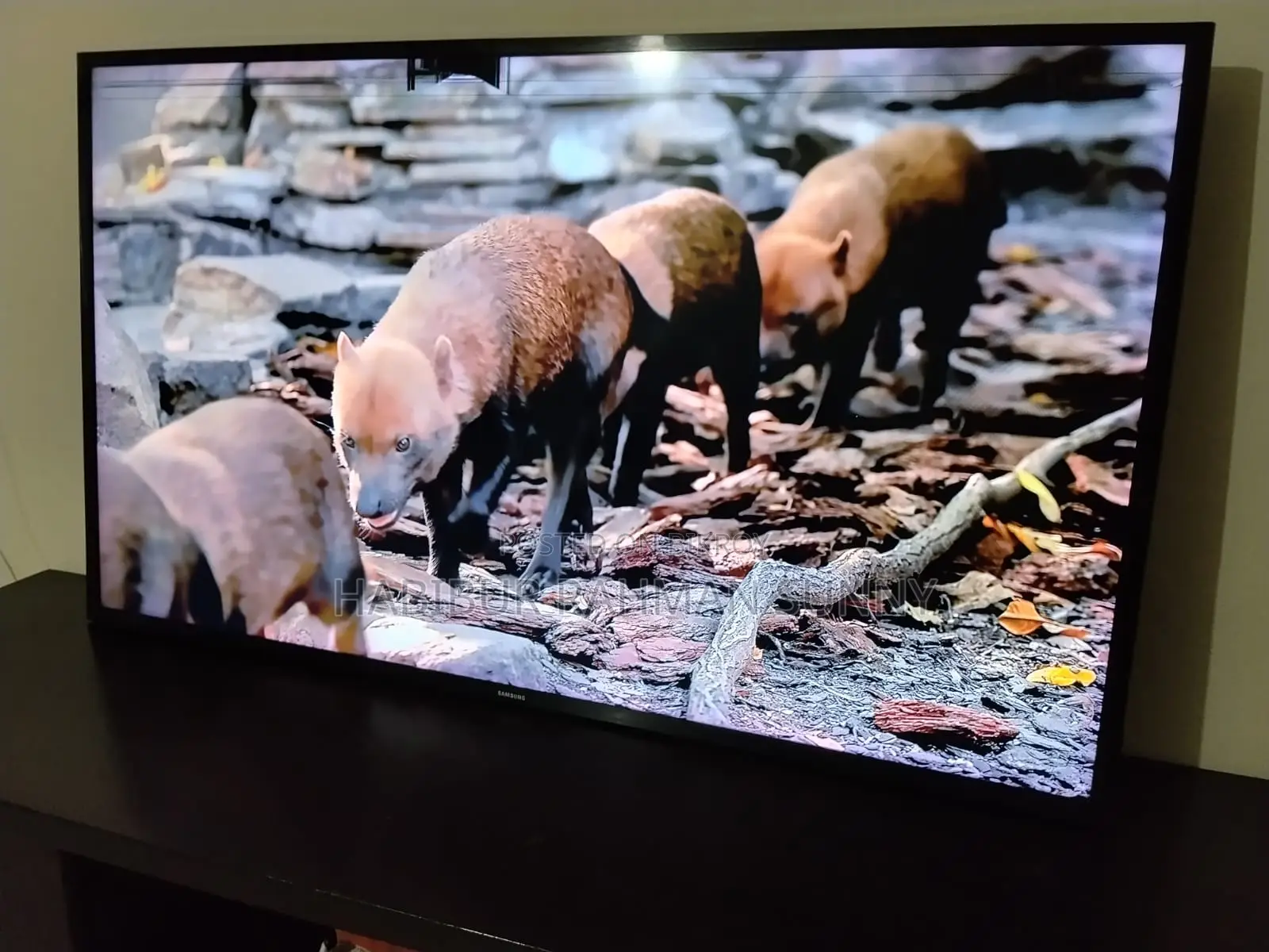 Samsung Android 49"