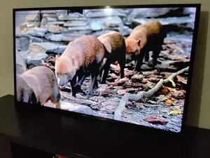 Samsung Android 49"