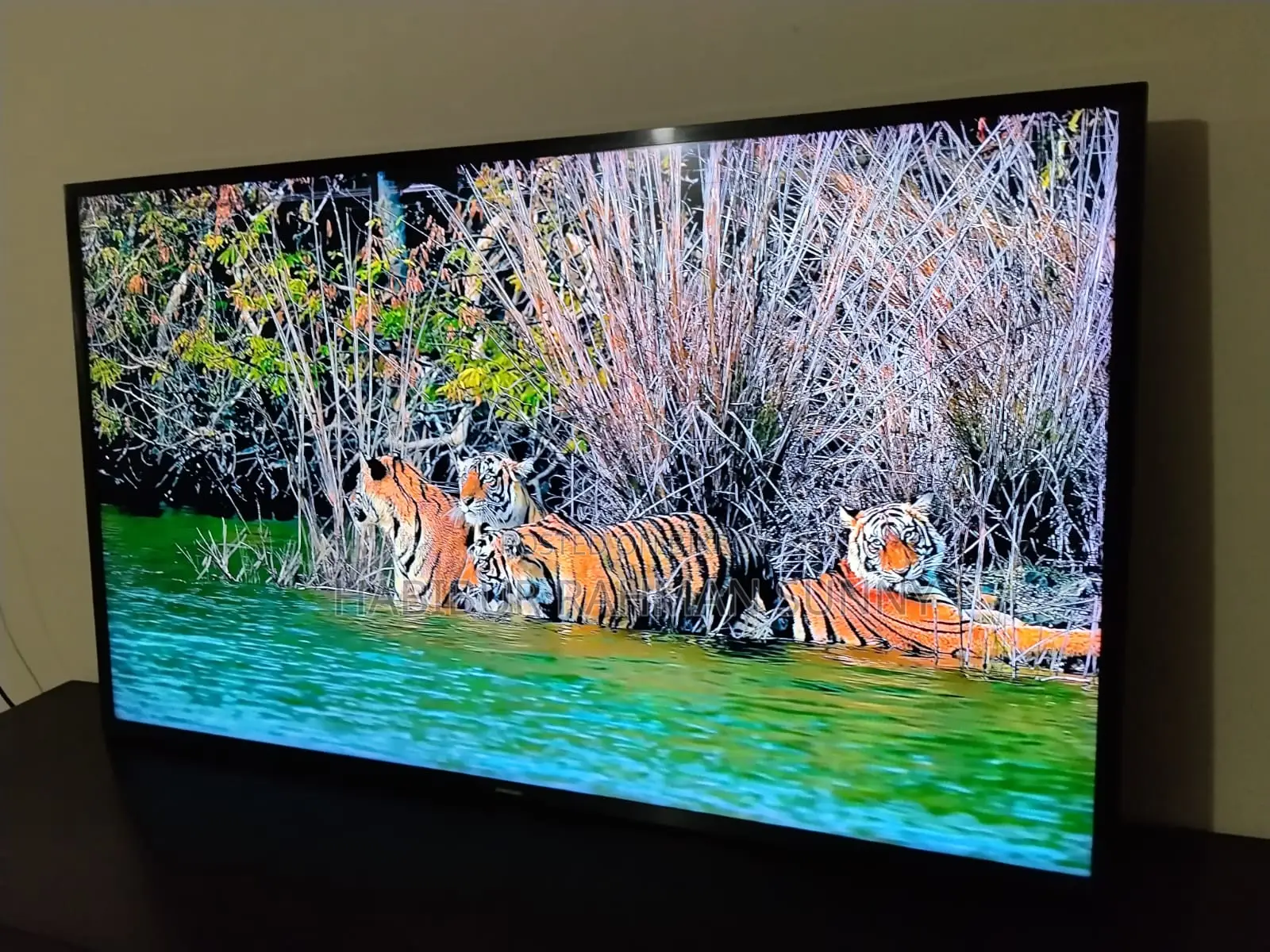 Samsung Android 49"