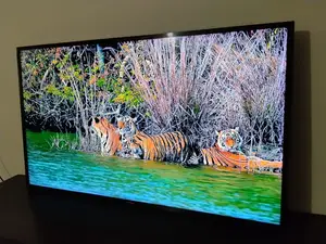 Samsung Android 49"