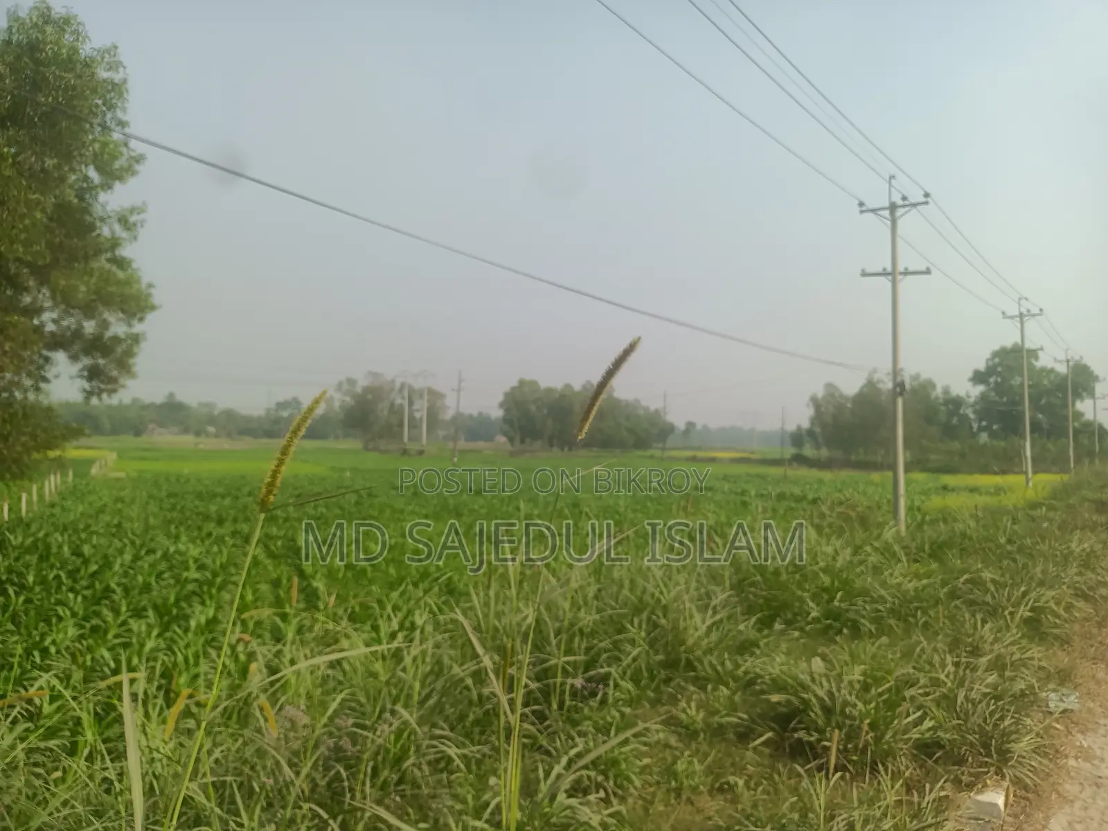 560 Shotok Land Adjacent to Dhaka-Tangail Highway