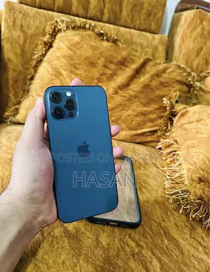 অ্যাপল আইফোন ১২ প্রো ম্যাক্স ২৫৬ জিবি ব্লু