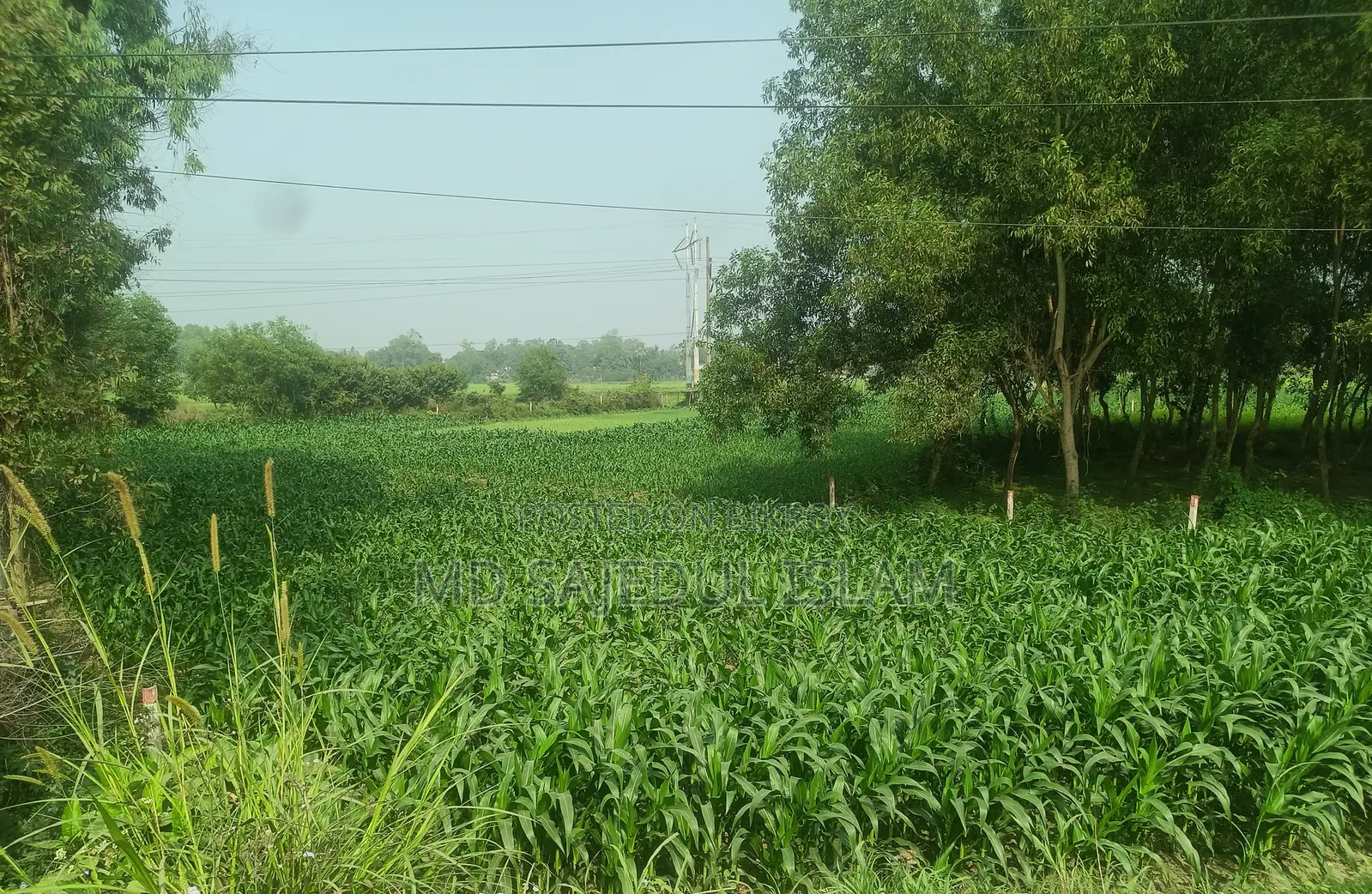 560 Shotok Land Adjacent to Dhaka-Tangail Highway