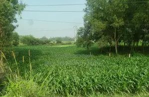 560 Shotok Land Adjacent to Dhaka-Tangail Highway