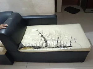 Rexine Sofa