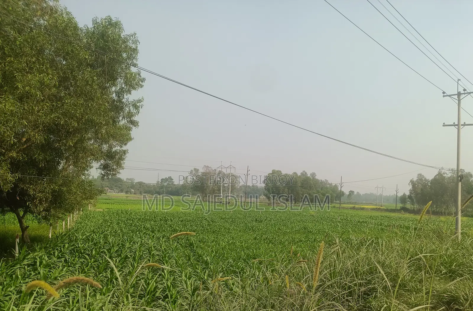 560 Shotok Land Adjacent to Dhaka-Tangail Highway
