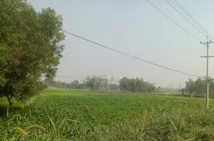 560 Shotok Land Adjacent to Dhaka-Tangail Highway