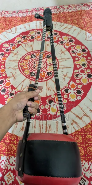 Professional Ektara | Like Brand New
