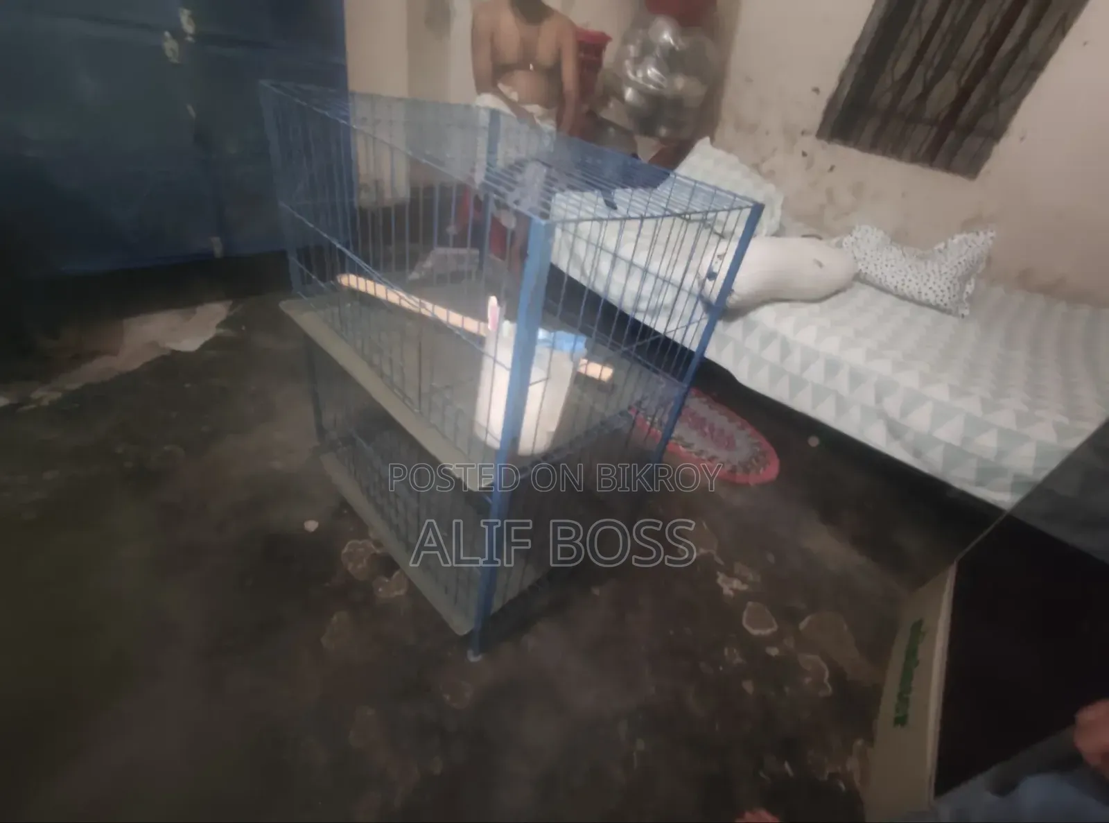 খাঁচা ফুল ফ্রেশ একেবারে নতুন 18 দিন ব্যবহার করা হয়েছিল