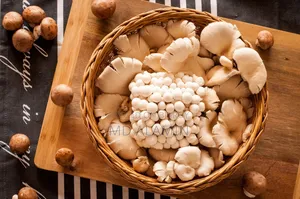 Fresh Oyster Mushroom for Sale