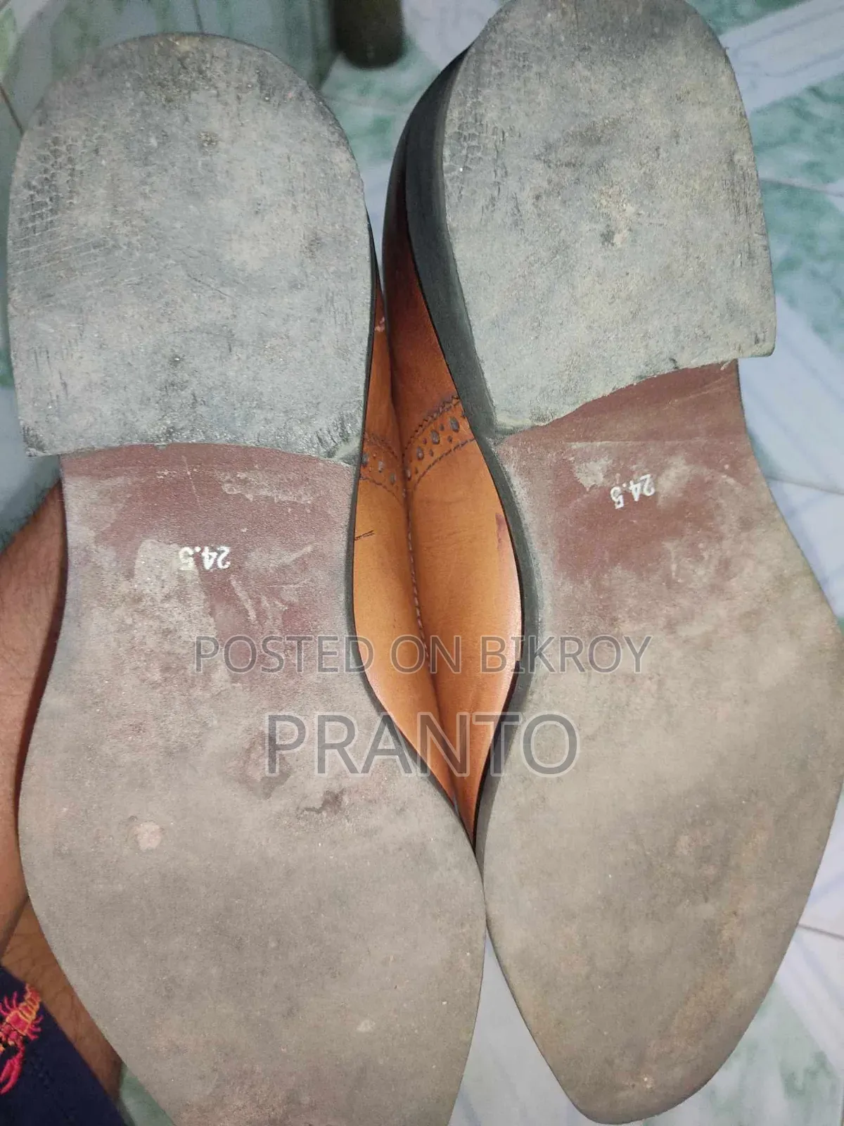 Oxford Shoe
