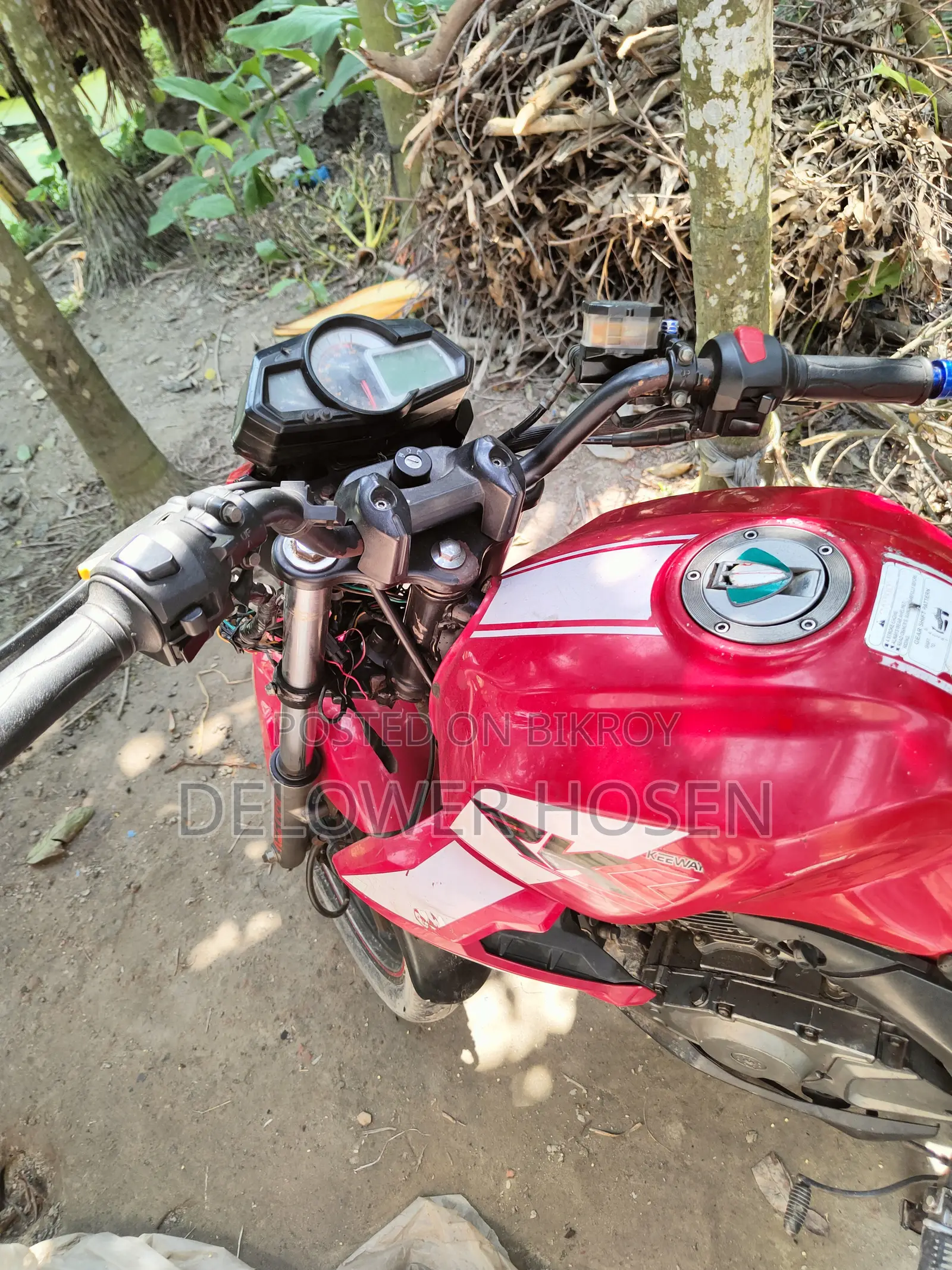 Benelli TNT 2019 Red