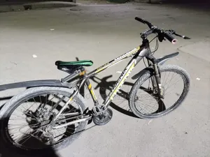 Running Cycle