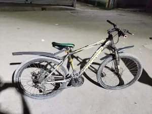 Running Cycle