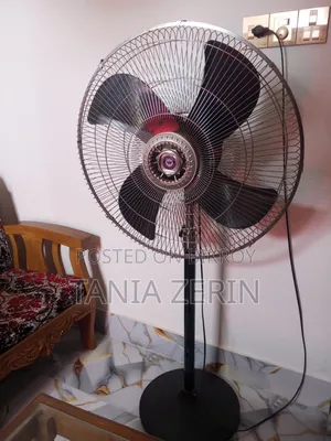Walton Stand Fan