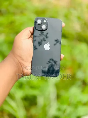 Apple iPhone 13 256 GB Gray